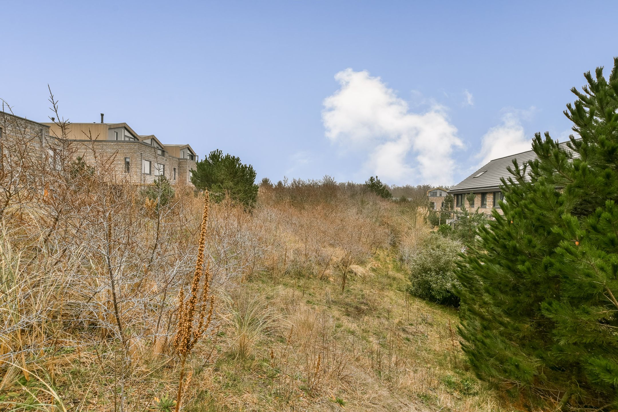 Foto 30 van Duintopstraat 8