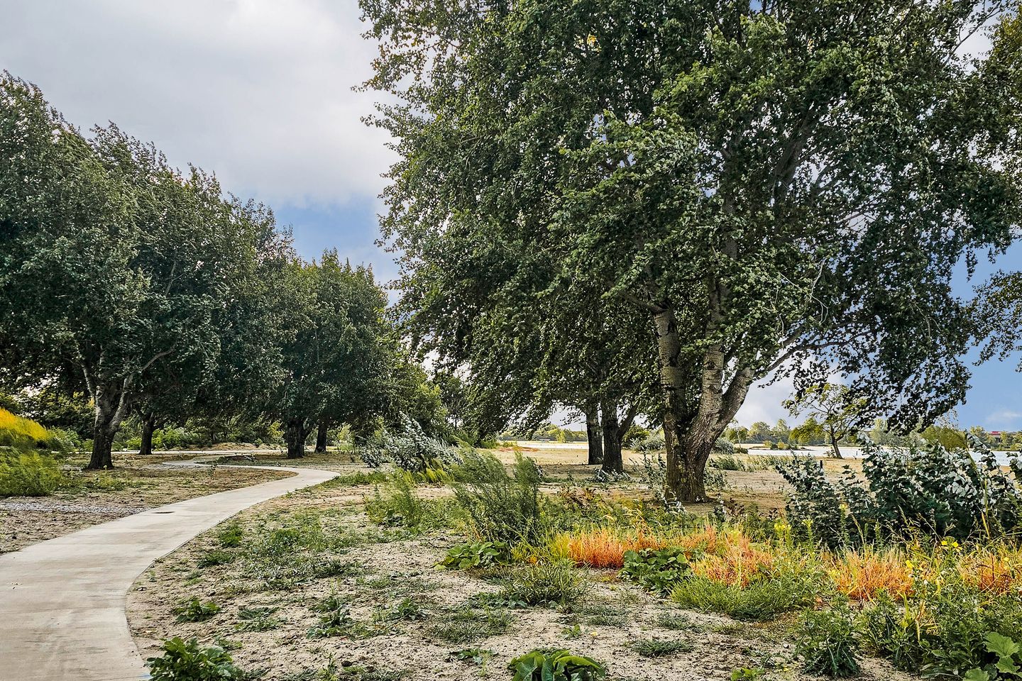 Foto 40 van Duintopstraat 8