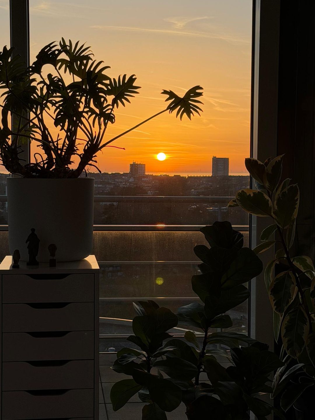 Foto 41 van Galileistate 91