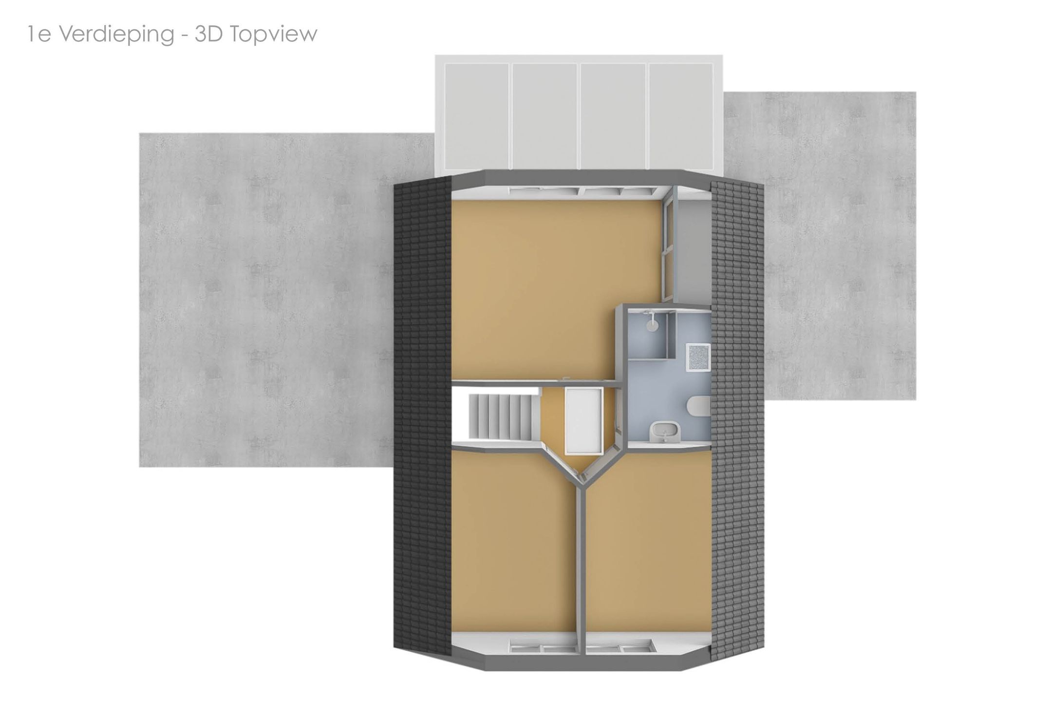 Foto 57 van S.E. Wendelaar Bongastrjitte 4