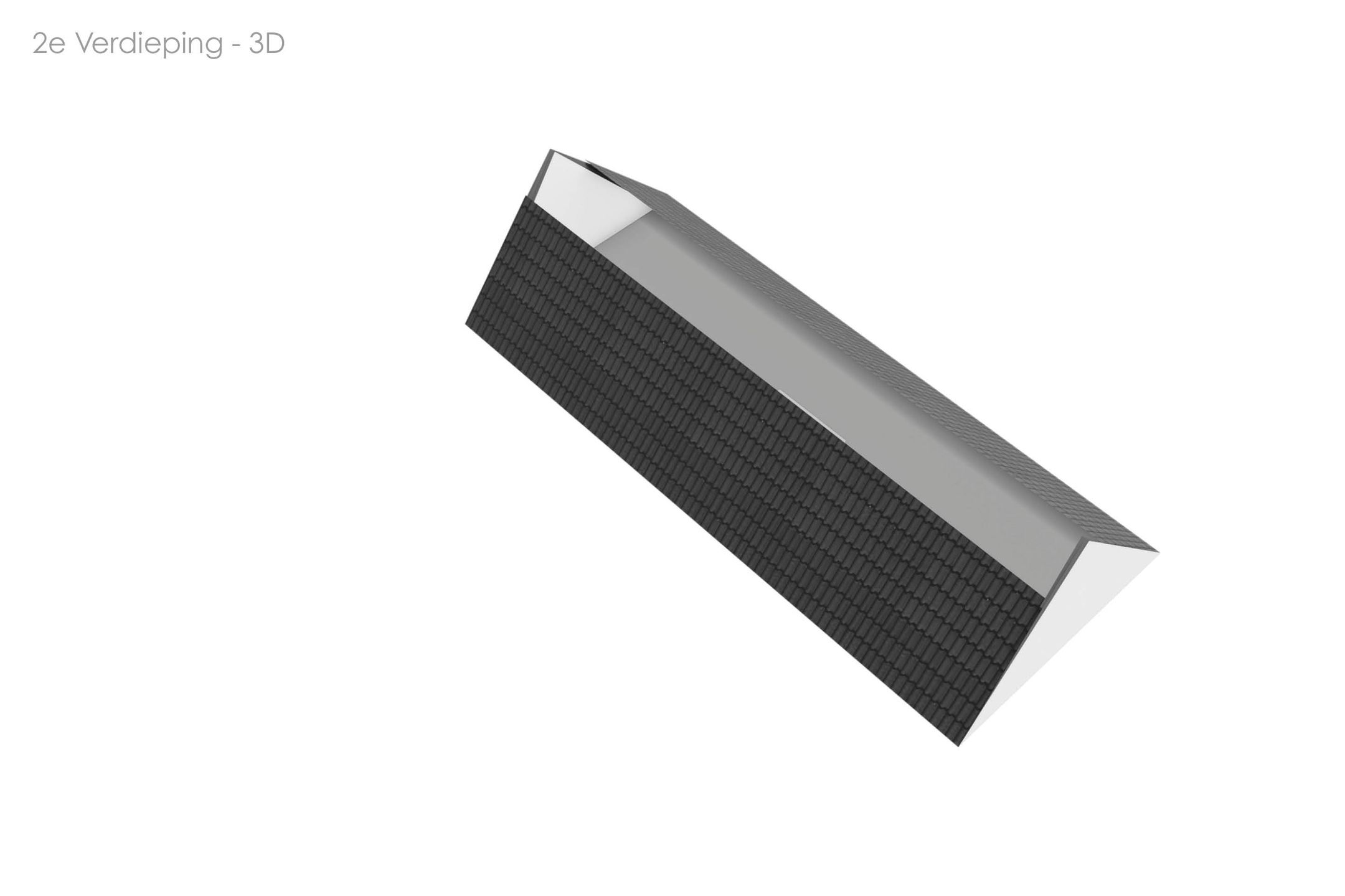 Foto 66 van S.E. Wendelaar Bongastrjitte 4