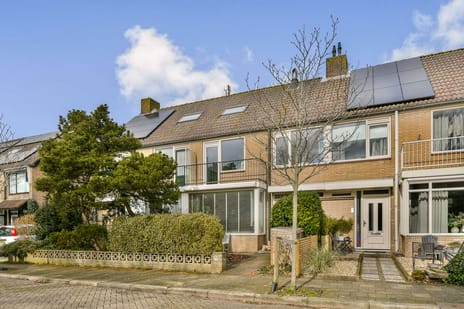 undefined main image