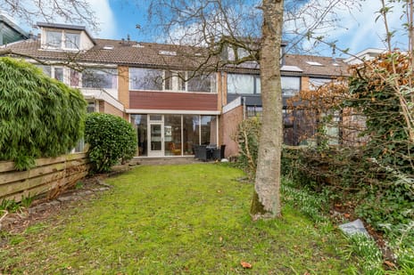 Goudriaanstraat thumbnail