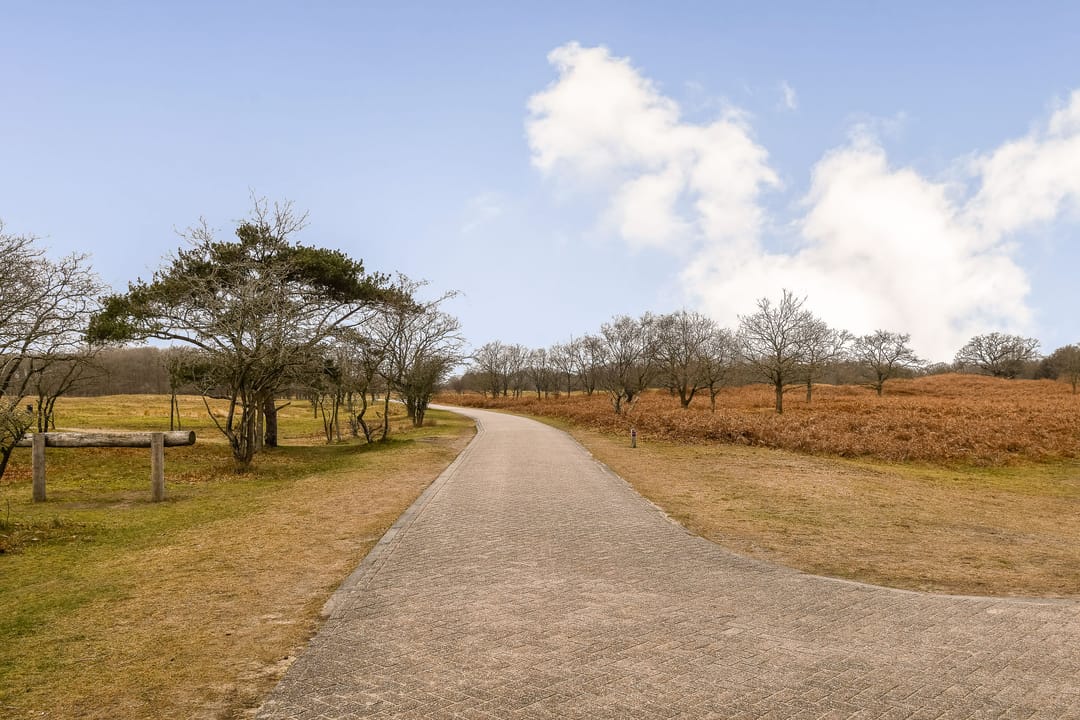 Photo 31 of Zilkerduinweg 181