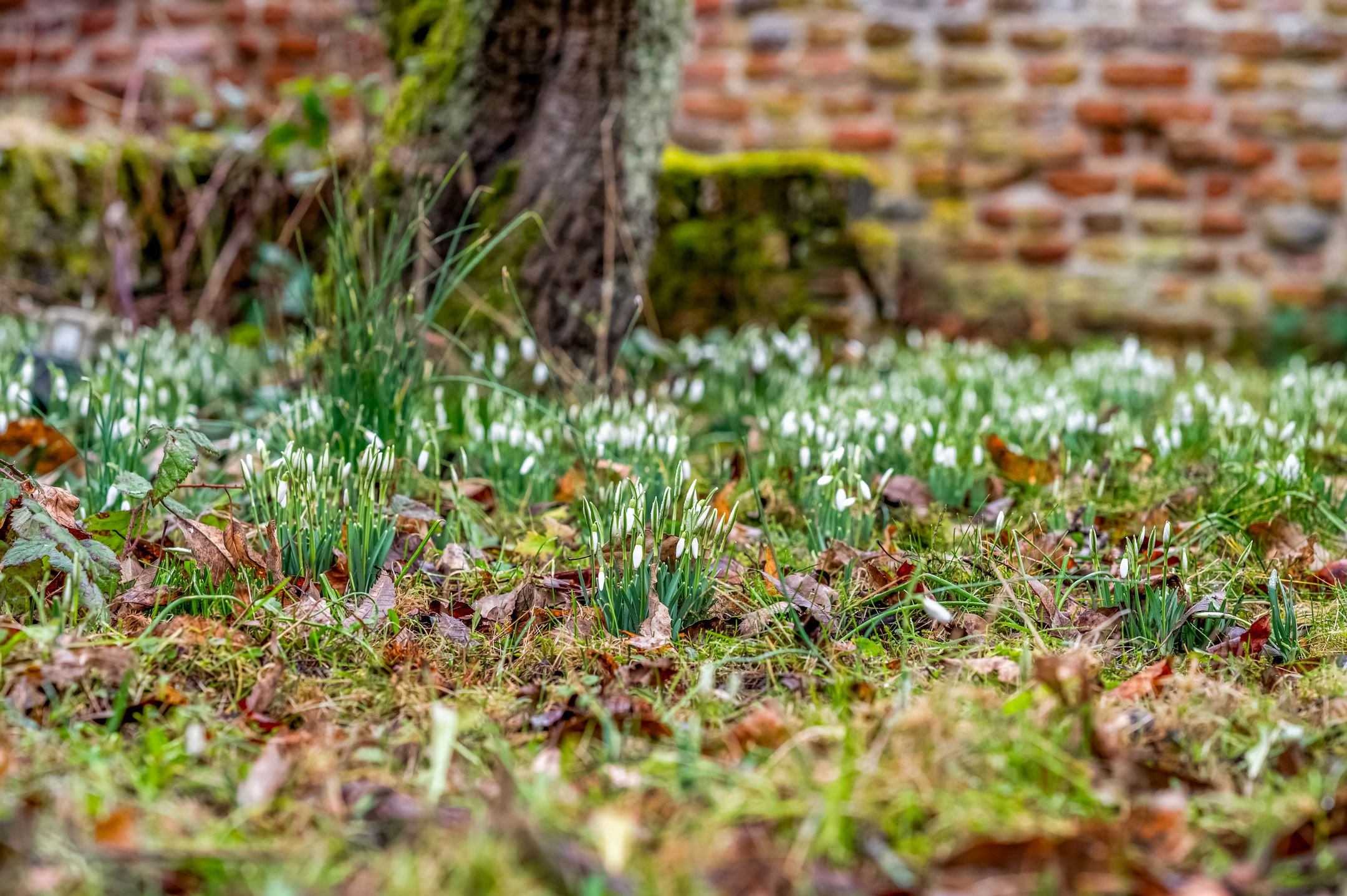 Foto 18 van Zoetendaal 3