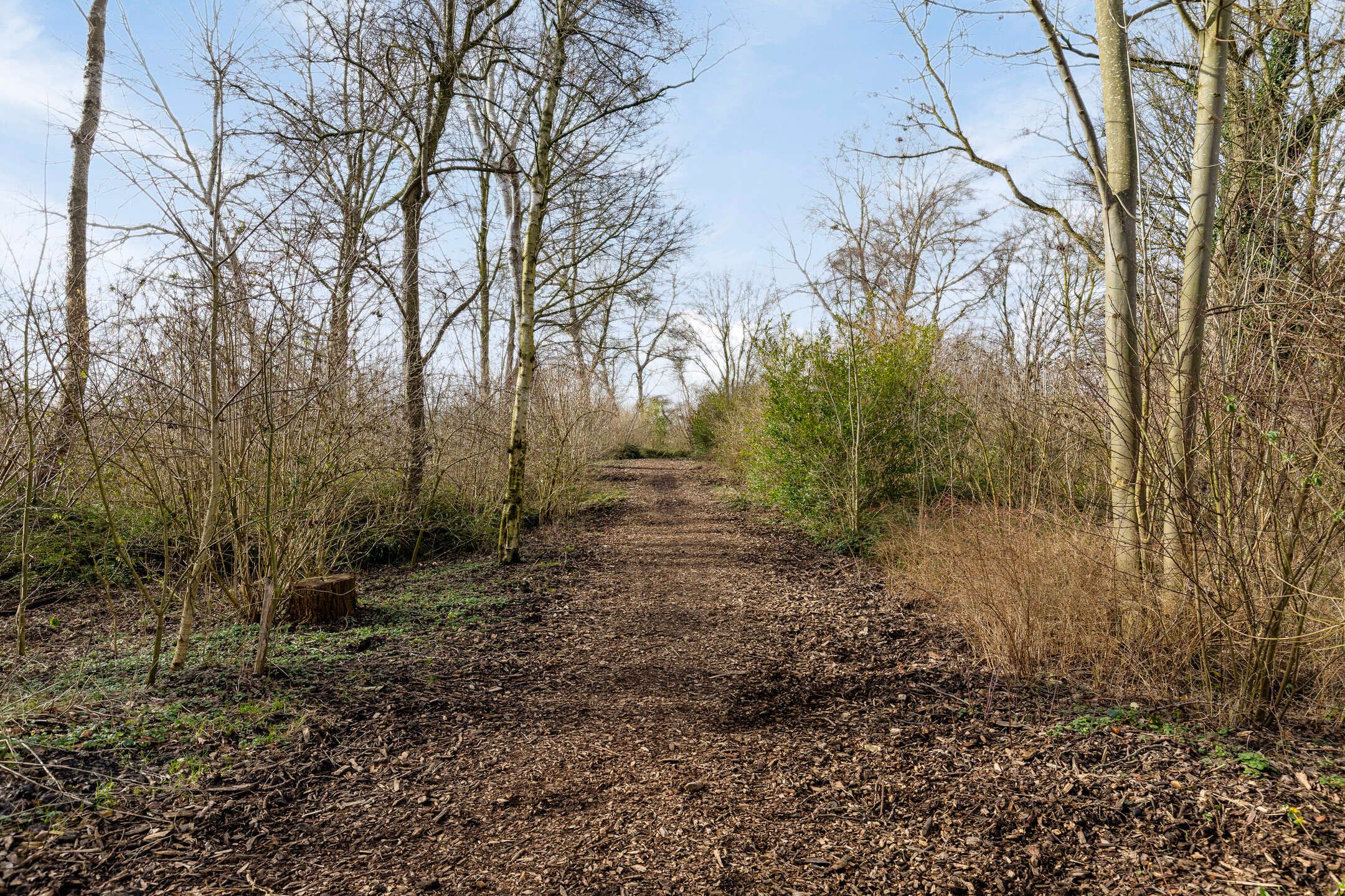 Photo 54 of Roestuin 21