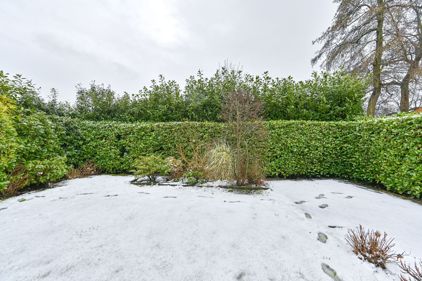 Photo 74 of Wisken 14