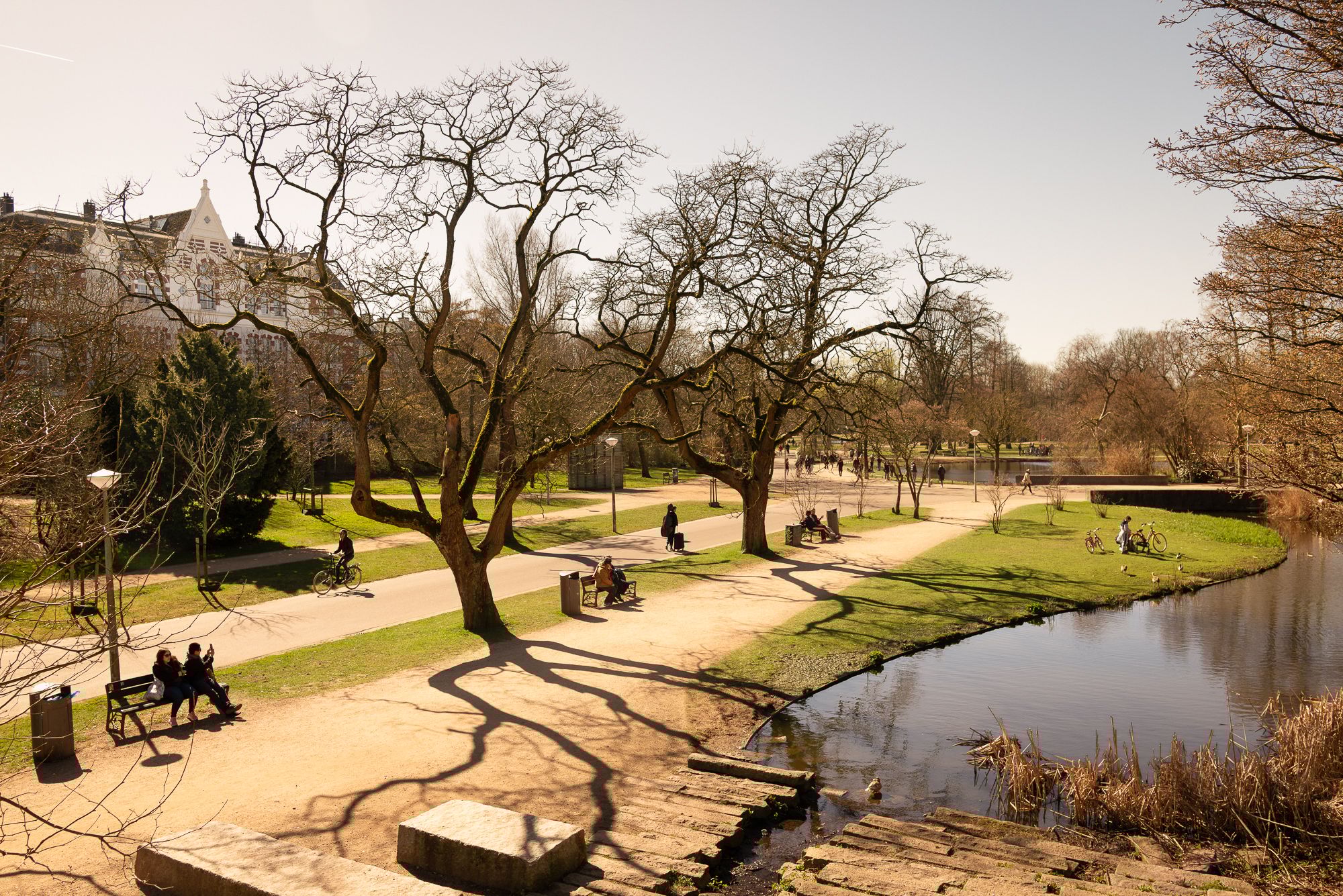 Foto 24 van Frans van Mierisstraat 121-A