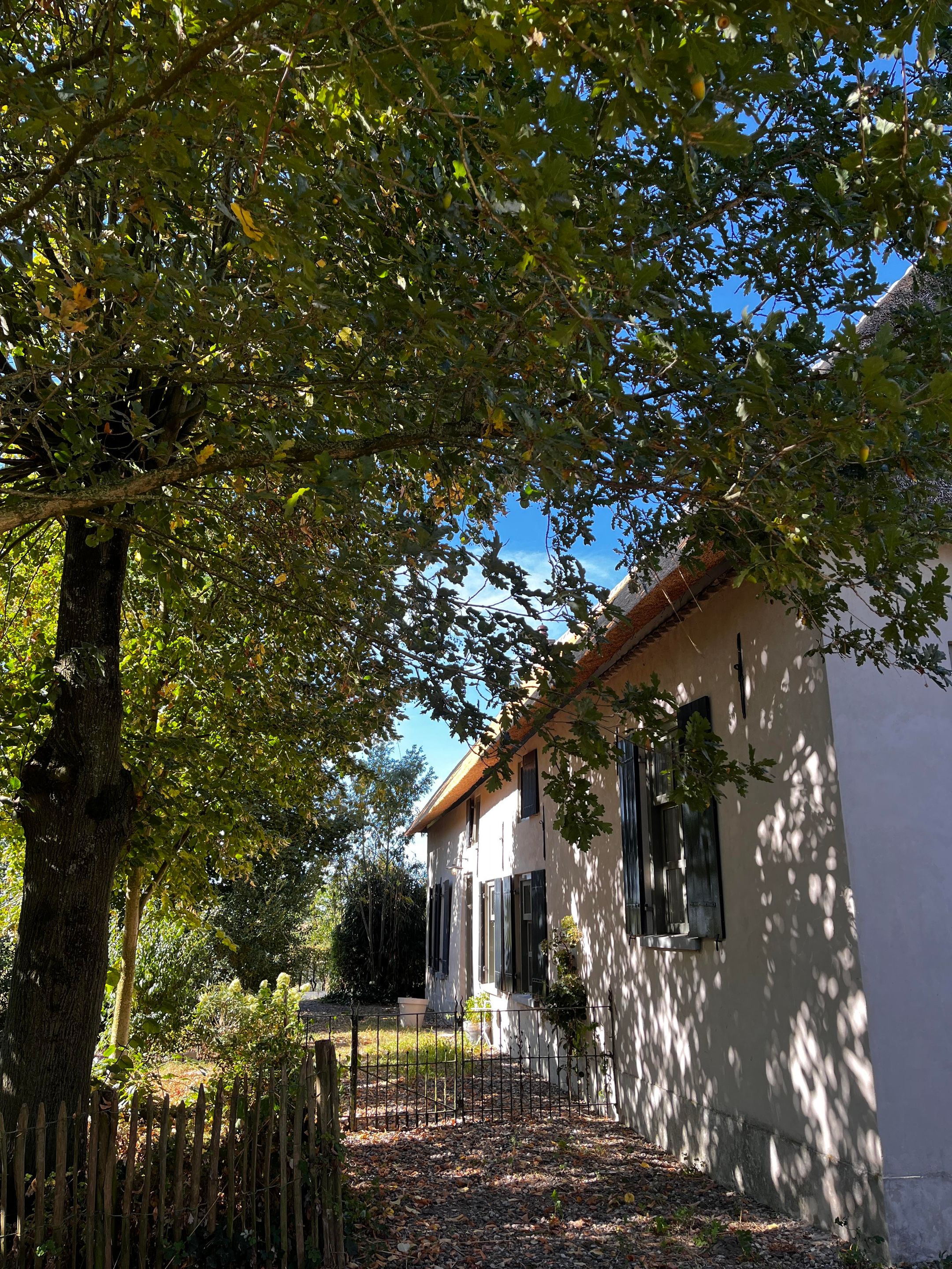 Historic Thatched Farmstead with Guest Suites and 1.6 Hectares of Land — 57