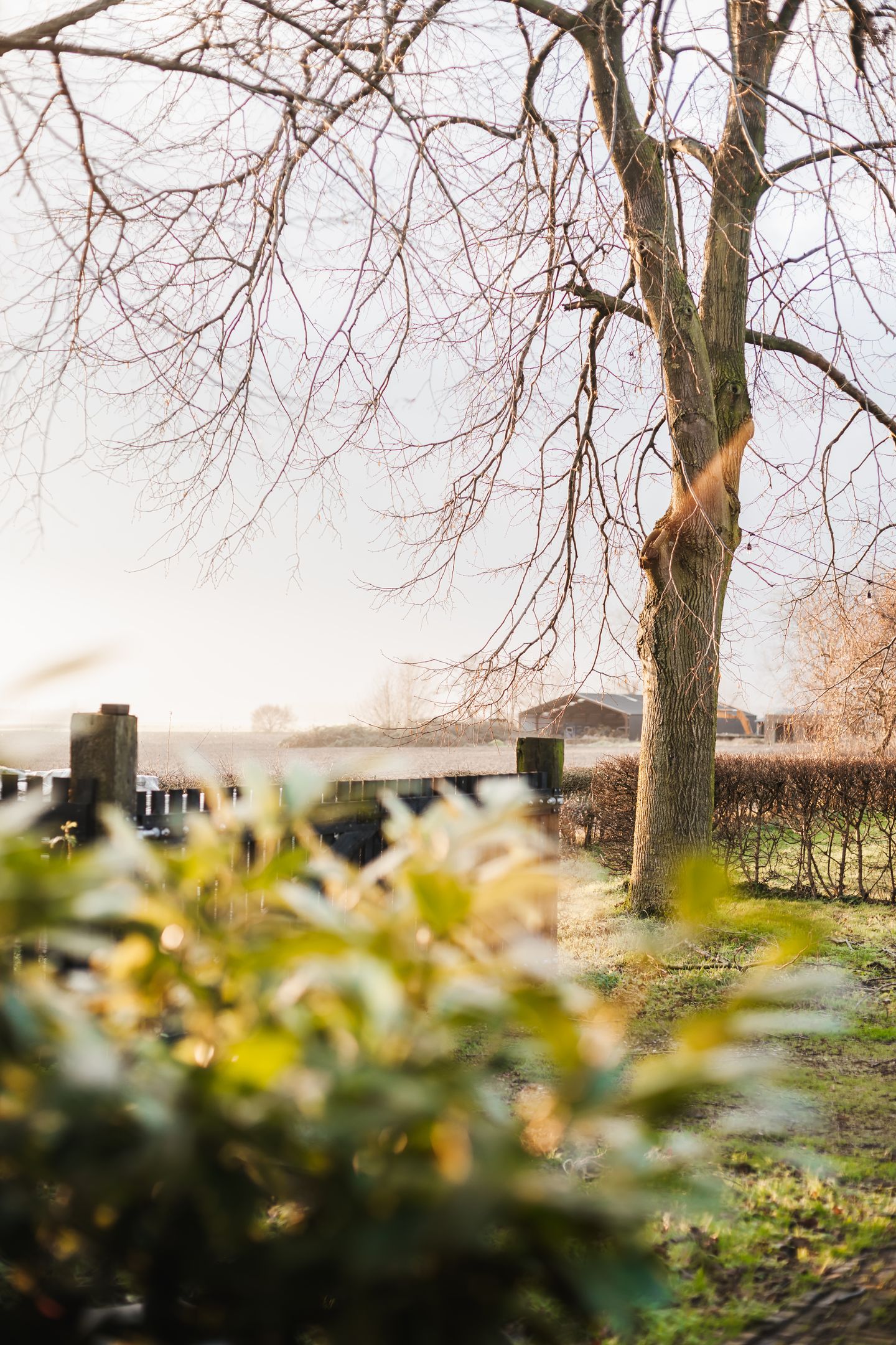 Historic Thatched Farmstead with Guest Suites and 1.6 Hectares of Land — 64