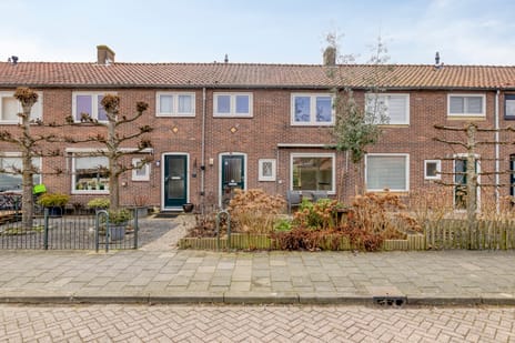 Johannis Bogaardstraat thumbnail