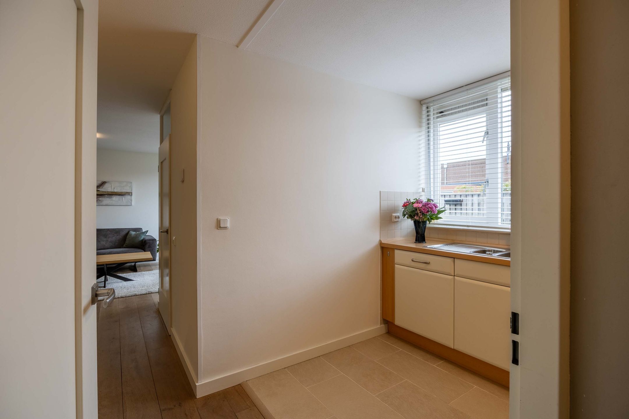 Foto 6 van Lathyrus 2