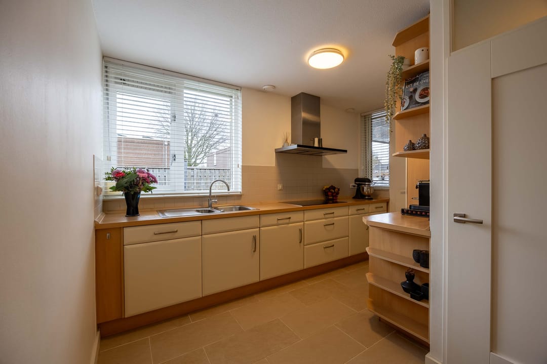 Foto 7 van Lathyrus 2