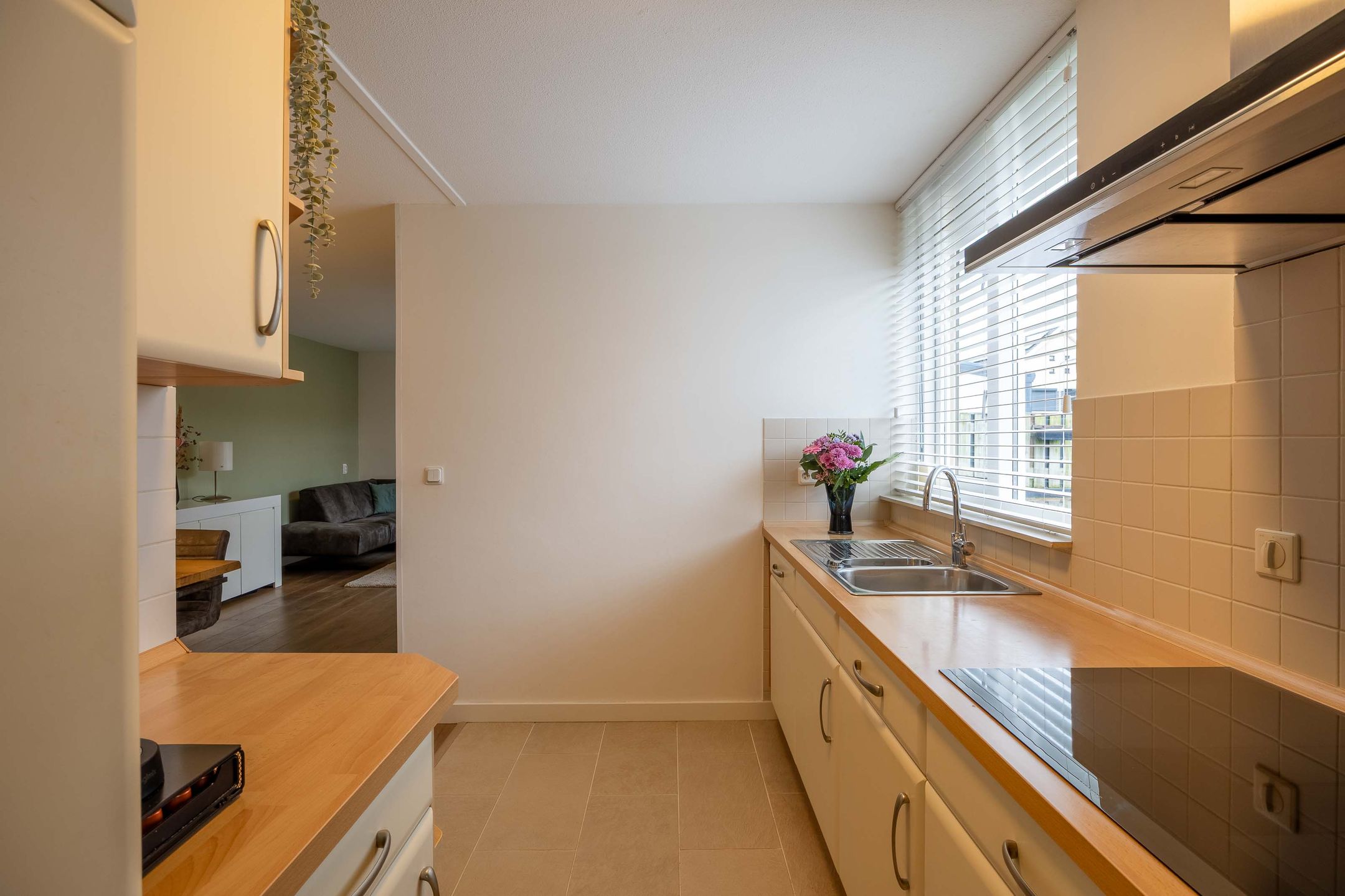 Foto 9 van Lathyrus 2