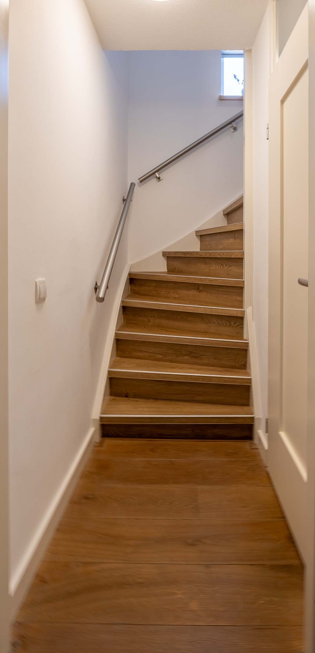 Foto 16 van Lathyrus 2