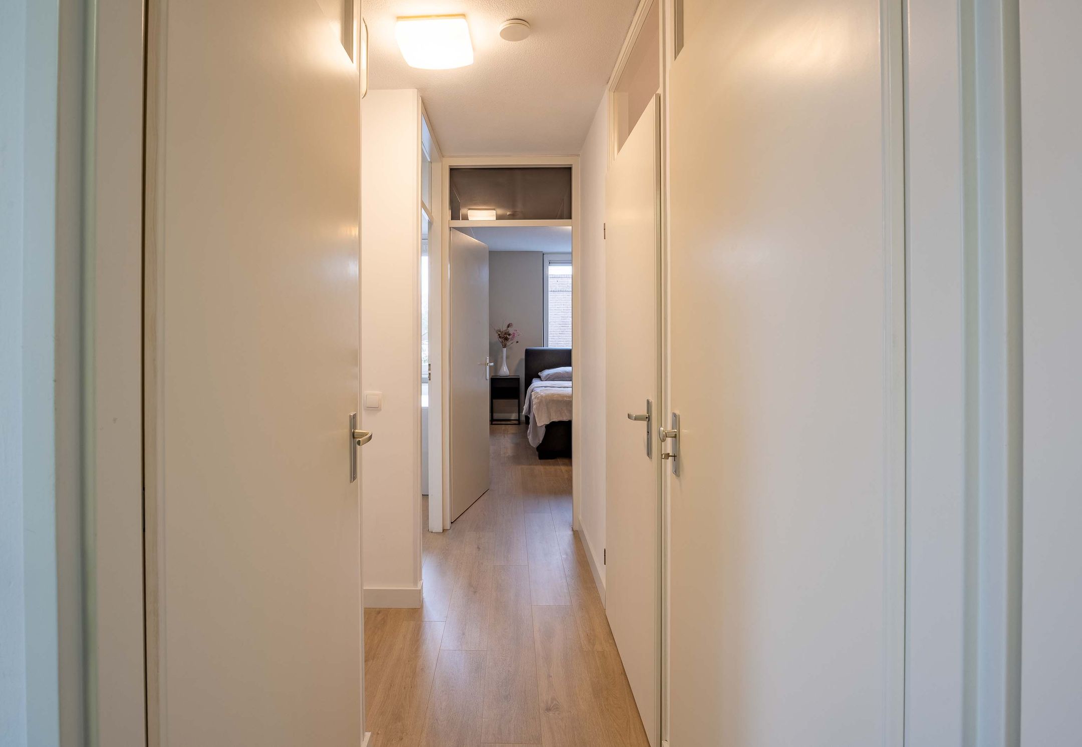 Foto 18 van Lathyrus 2