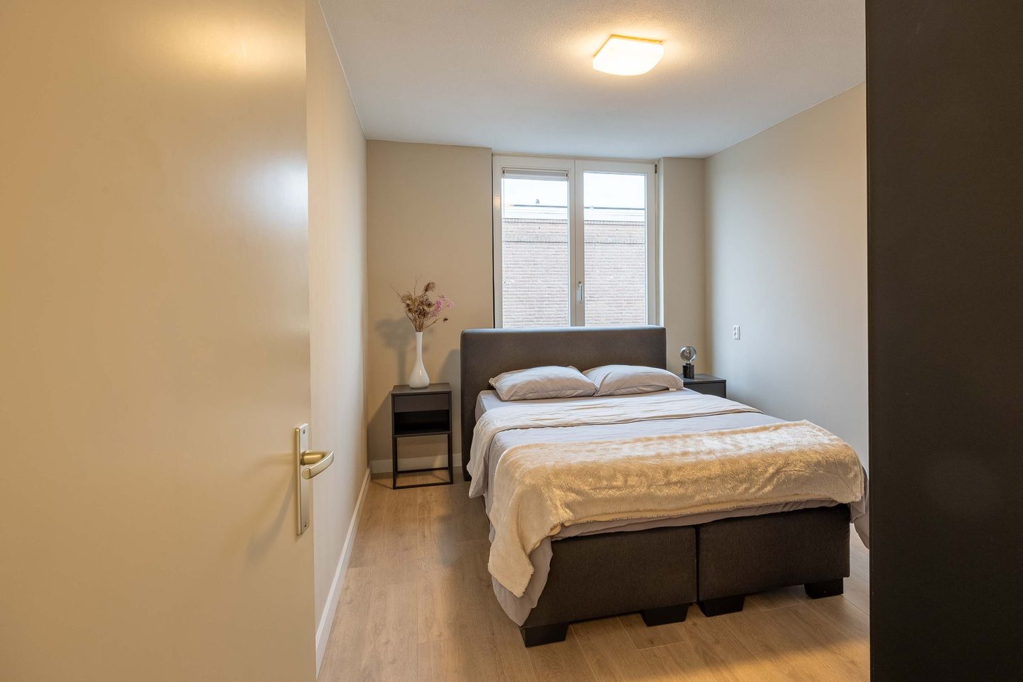 Foto 19 van Lathyrus 2