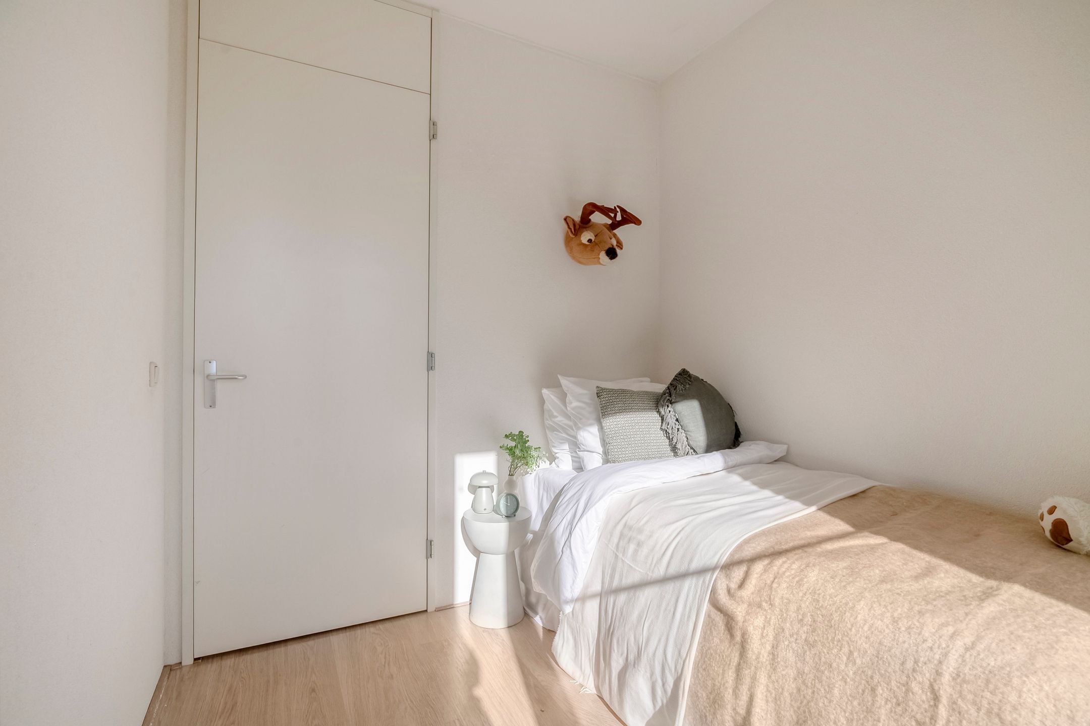 Photo 24 of Cornelis Zillesenlaan 7