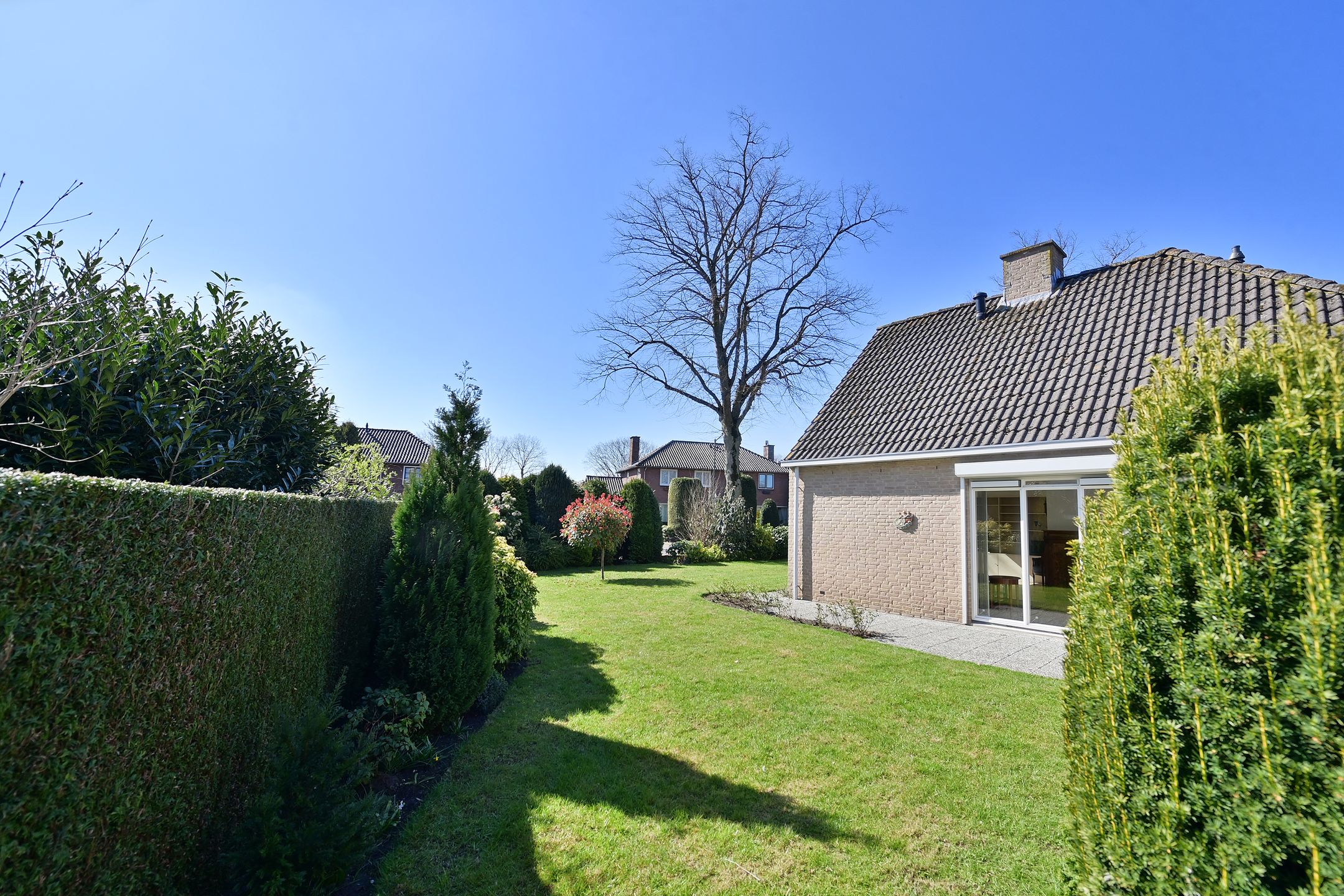 Foto 18 van Dr. Willem Dreeslaan 15