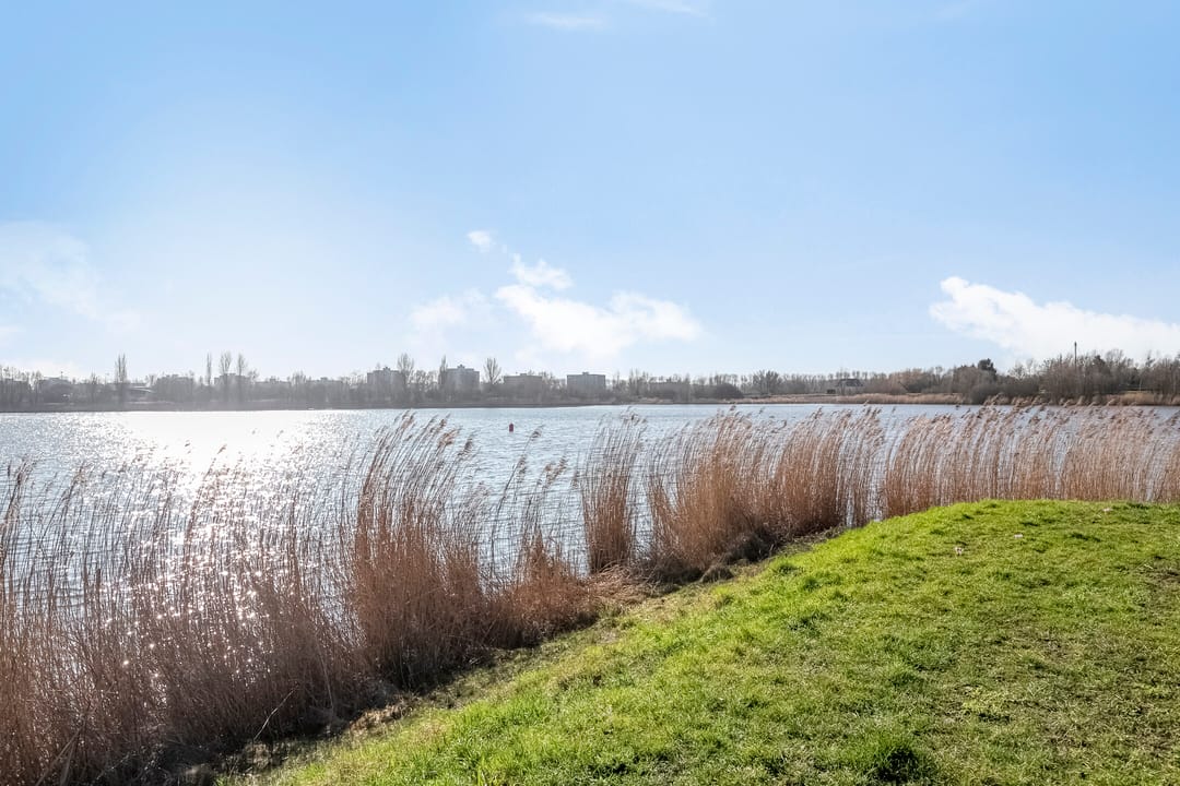 Photo 61 of Cornelis Zillesenlaan 7