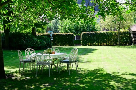 Molenstraat 55 tertiary image