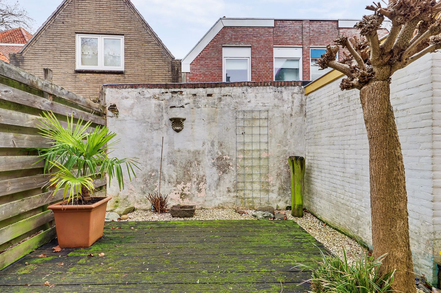 Foto 25 van Pluimstraat 18