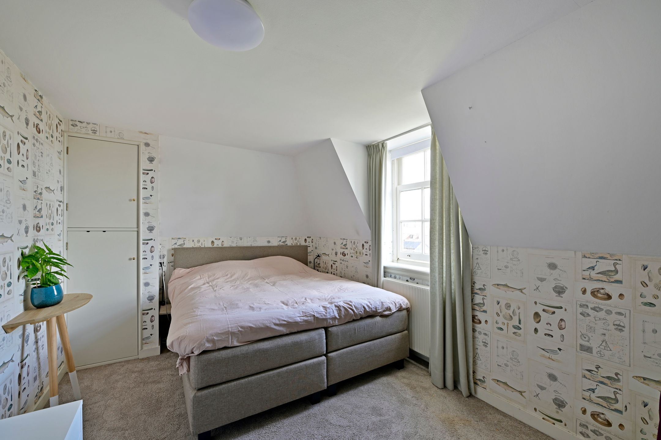 Photo 36 of Molenstraat 55