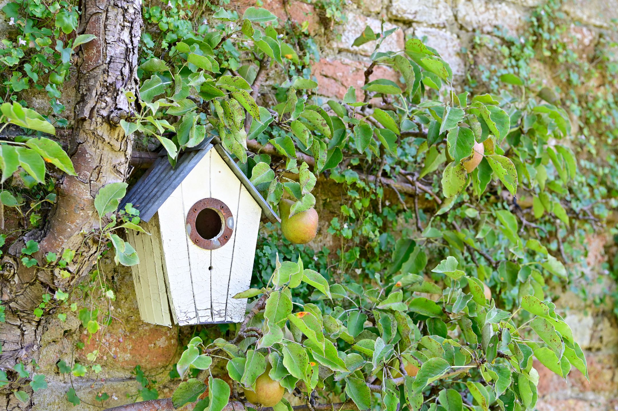 Photo 51 of Molenstraat 55