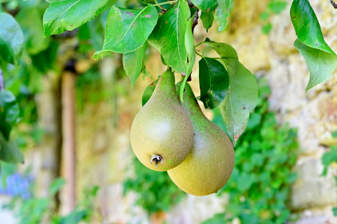 Photo 53 of Molenstraat 55