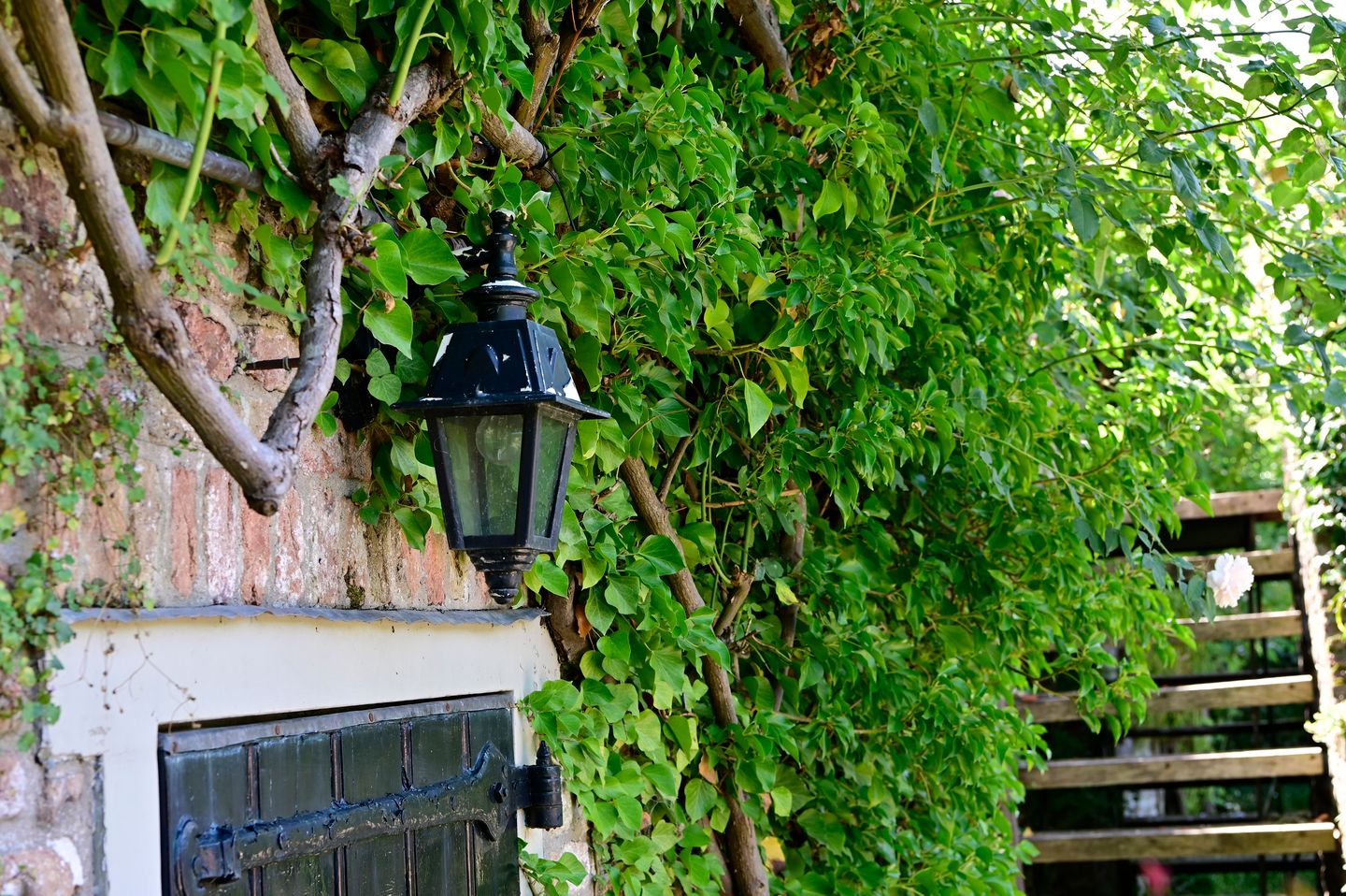 Photo 55 of Molenstraat 55