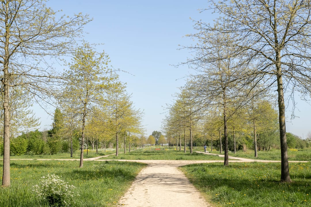 Foto 11 van Velderwoude 54