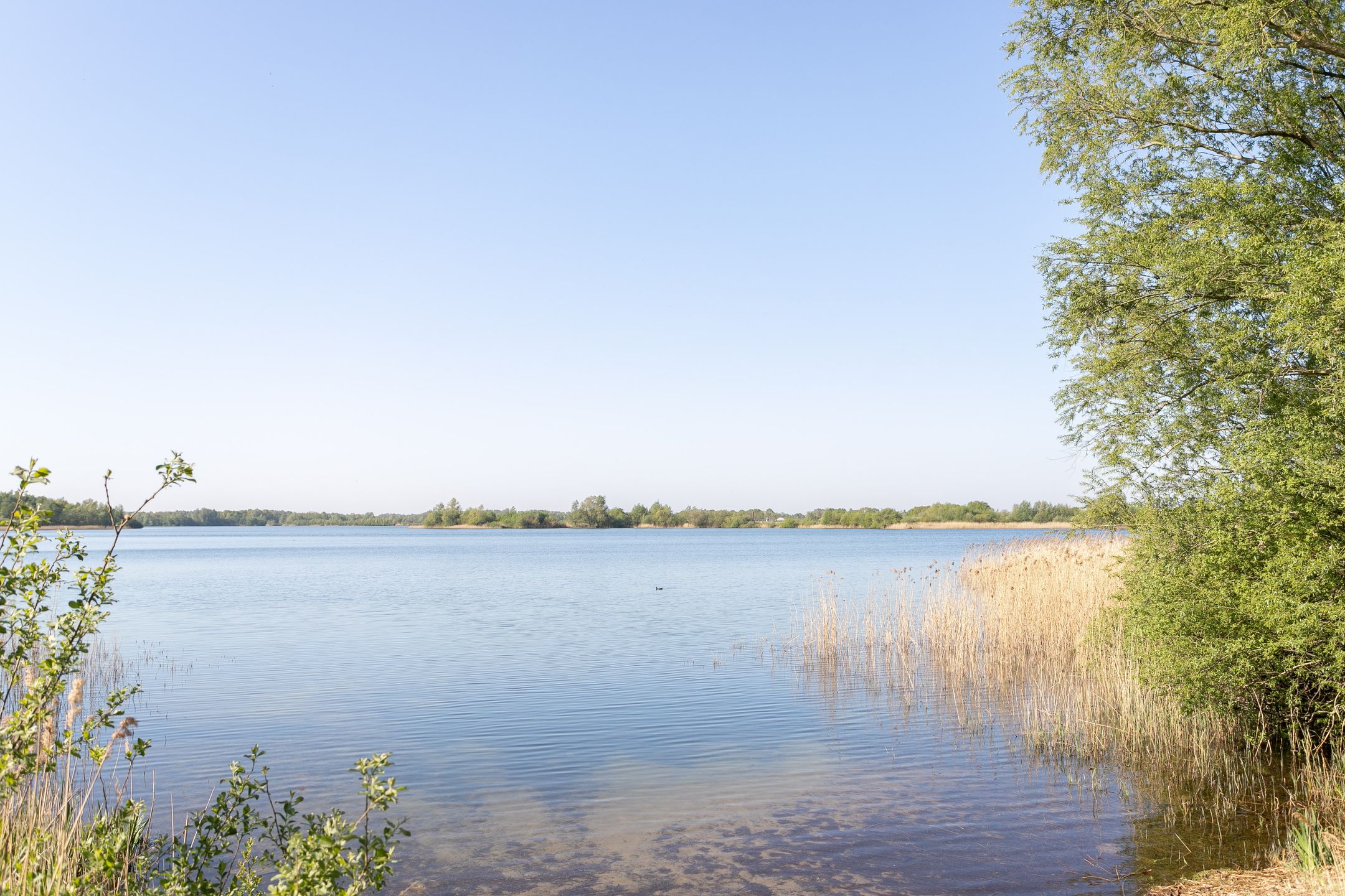 Foto 12 van Velderwoude 54