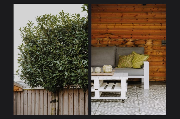 Foto 30 van Fiep Westendorplaan 218