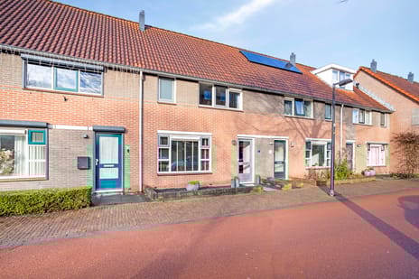 undefined main image