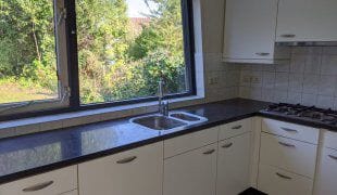 Foto 2 van Vuurvogel 11