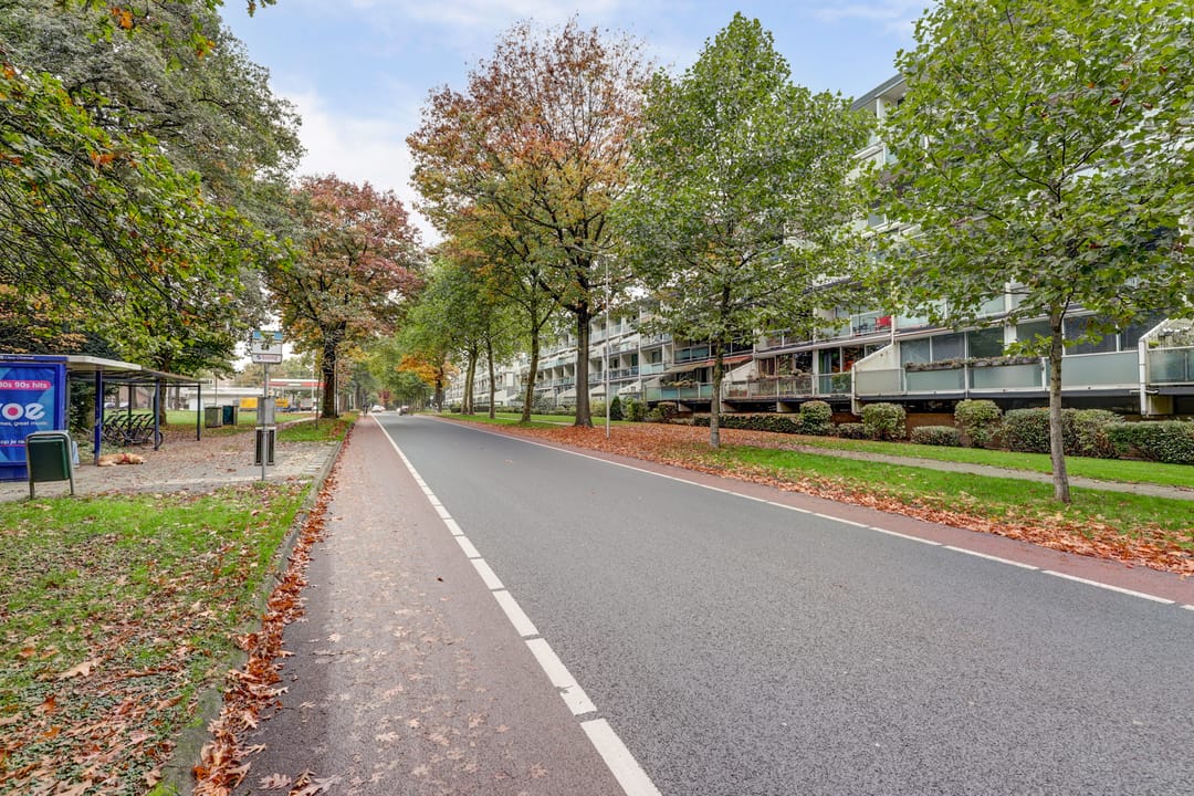 Photo 47 of Dillenburg 106