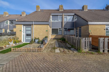 undefined main image