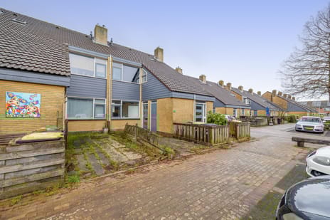 undefined main image