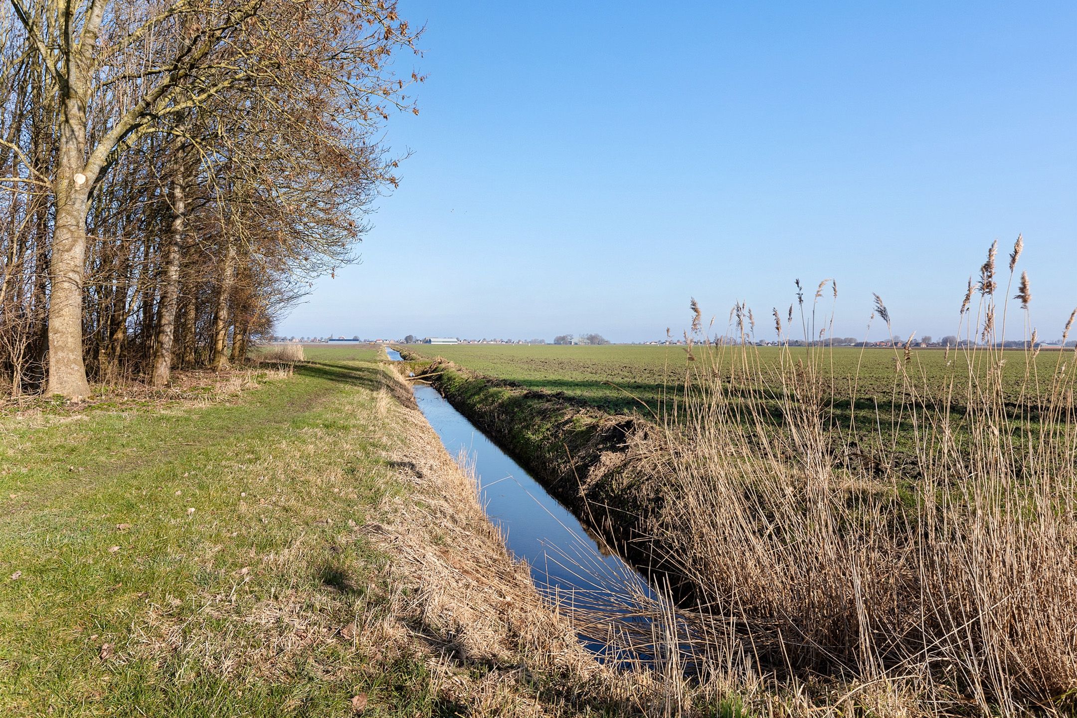 Foto 42 van Grietmansstraat 51