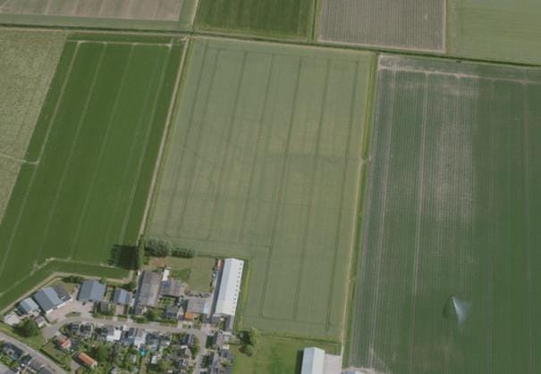 Groeneweg - Noordhoek - Afbeelding 1
