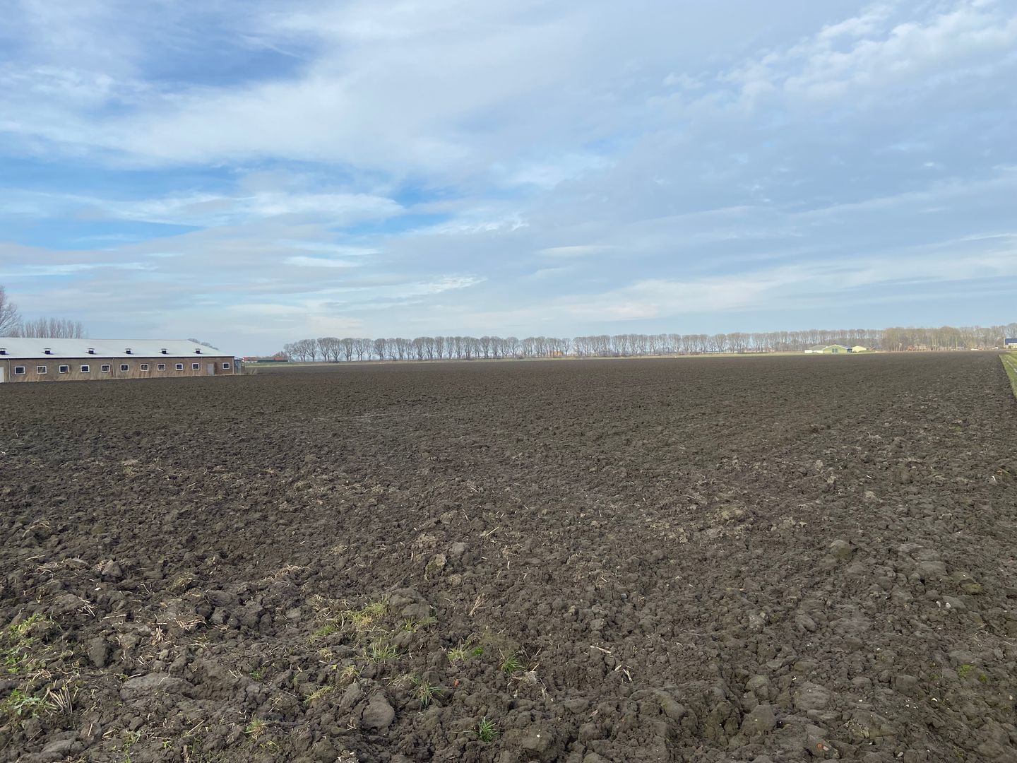 Bekijk foto 5 van Groeneweg