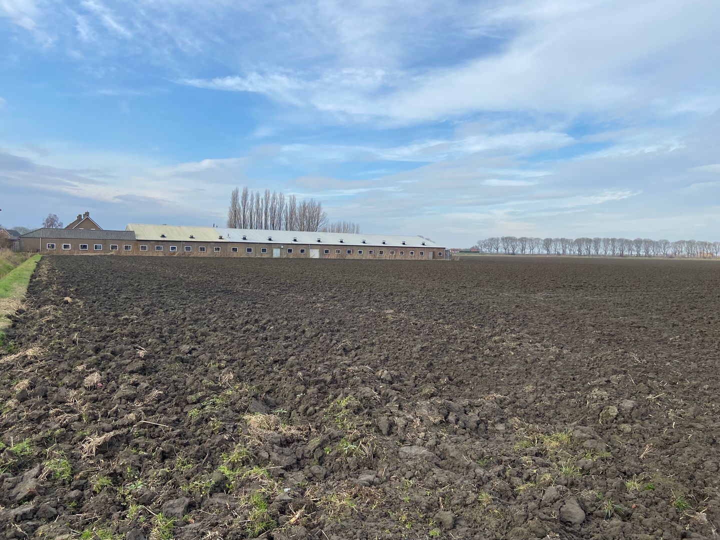 Bekijk foto 4 van Groeneweg