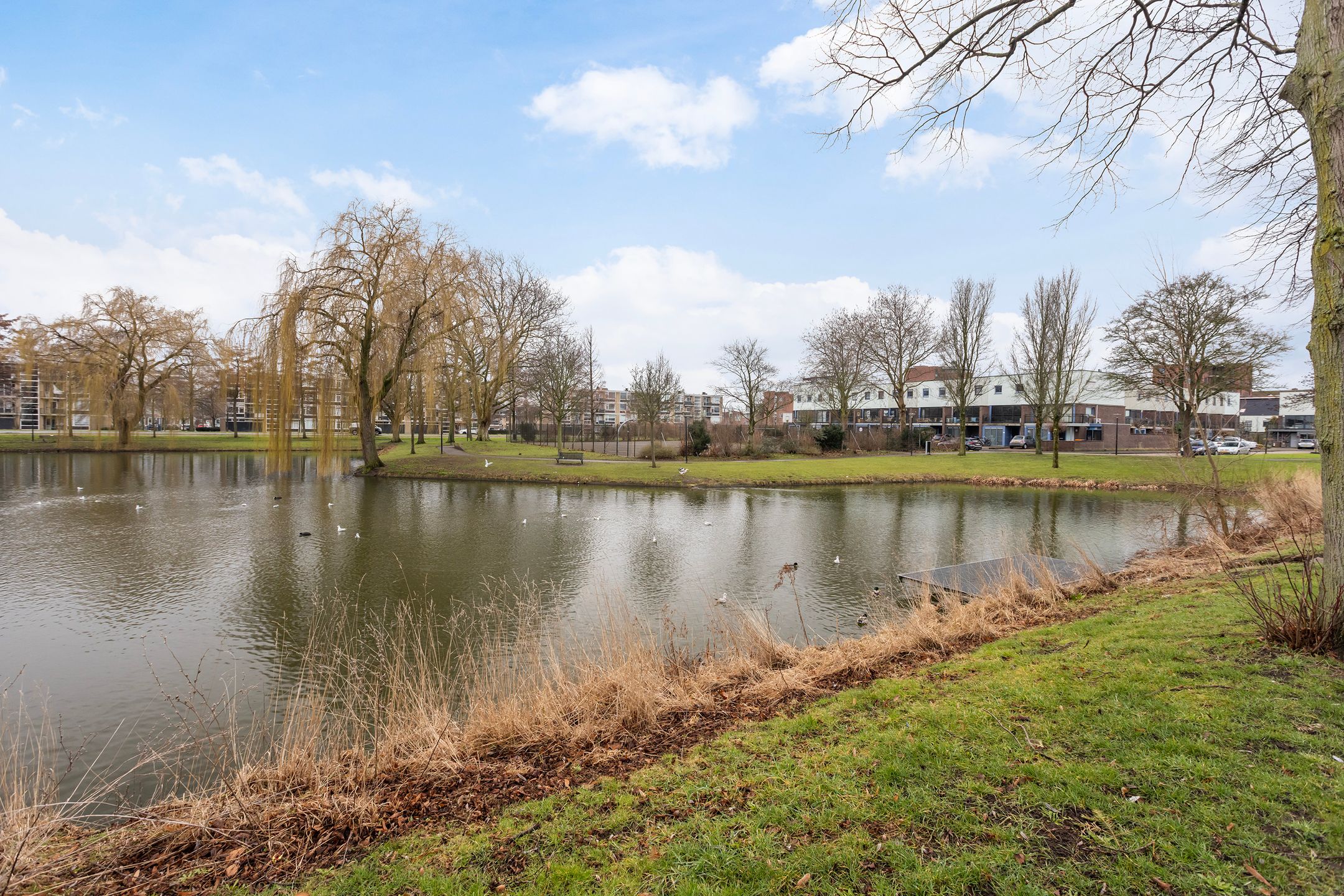 Foto 42 van G.A. Brederolaan 63-C