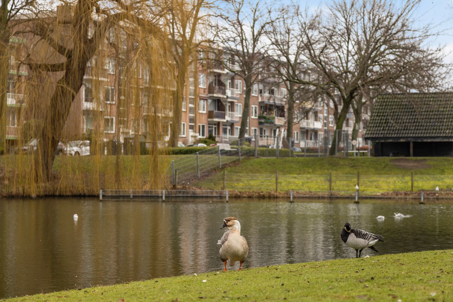 Foto 44 van G.A. Brederolaan 63-C