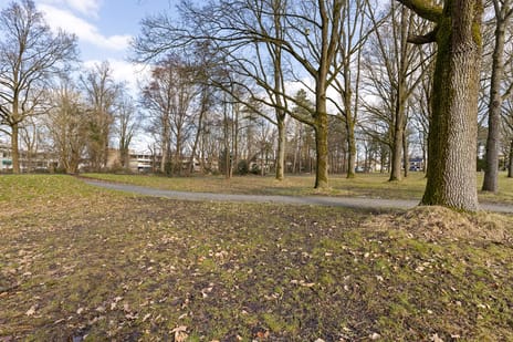 Vondellaan 16-3 secondary image