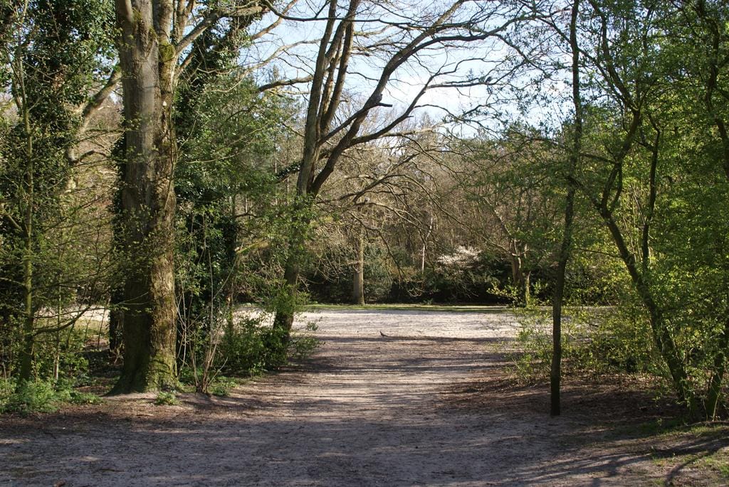 Foto 60 van Van Calcarlaan 29