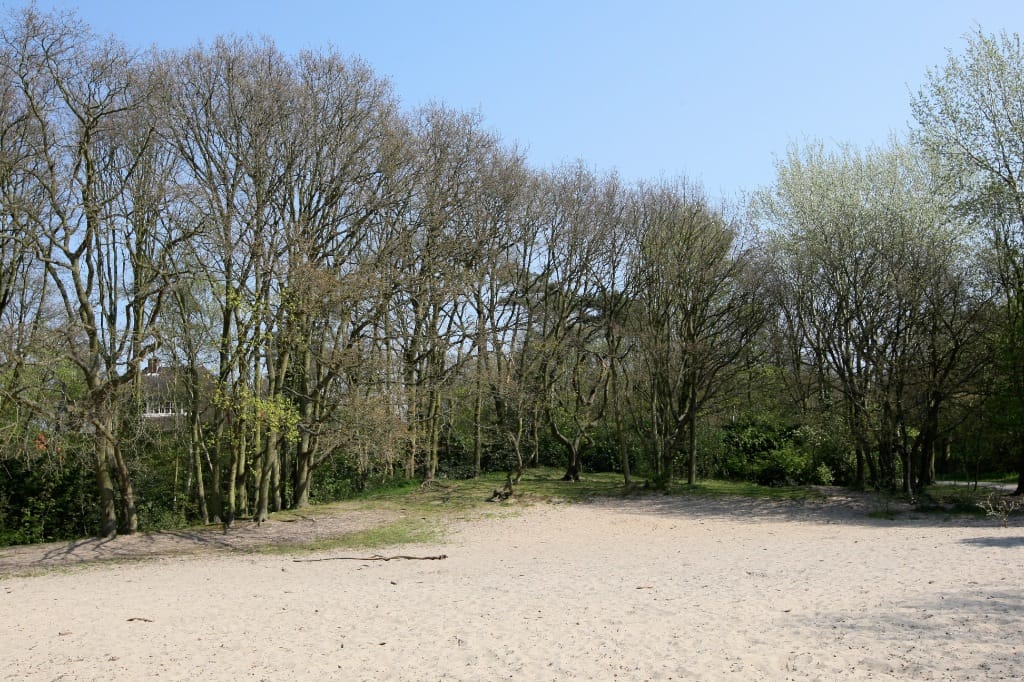 Foto 61 van Van Calcarlaan 29