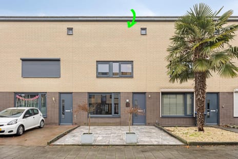 undefined main image