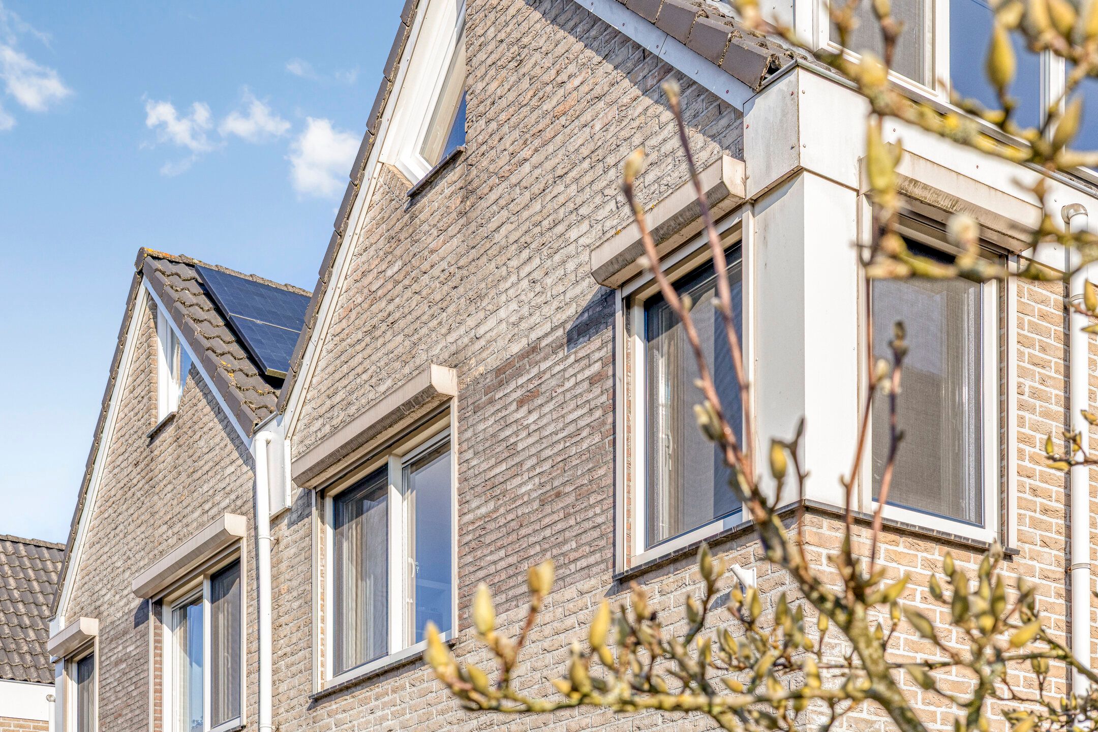 Foto 60 van Scherpeweide 19