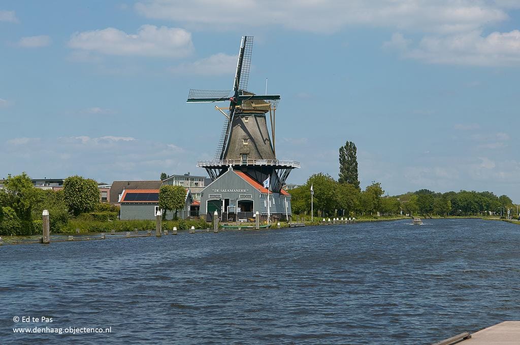 Foto 31 van Dokter Van Ledestraat 44